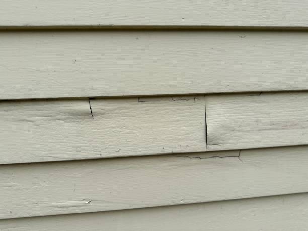 Best Insulated Siding Installation  in Hamlet, NC